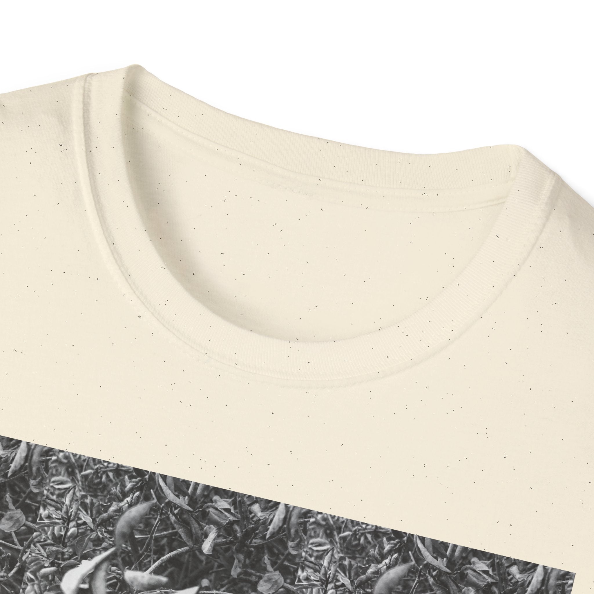 The Birds Neither Sow Nor Reap Tee