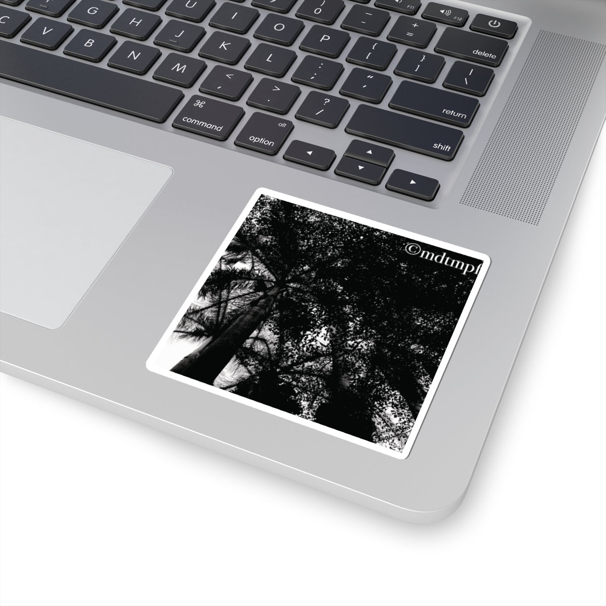 Kiss-Cut Stickers