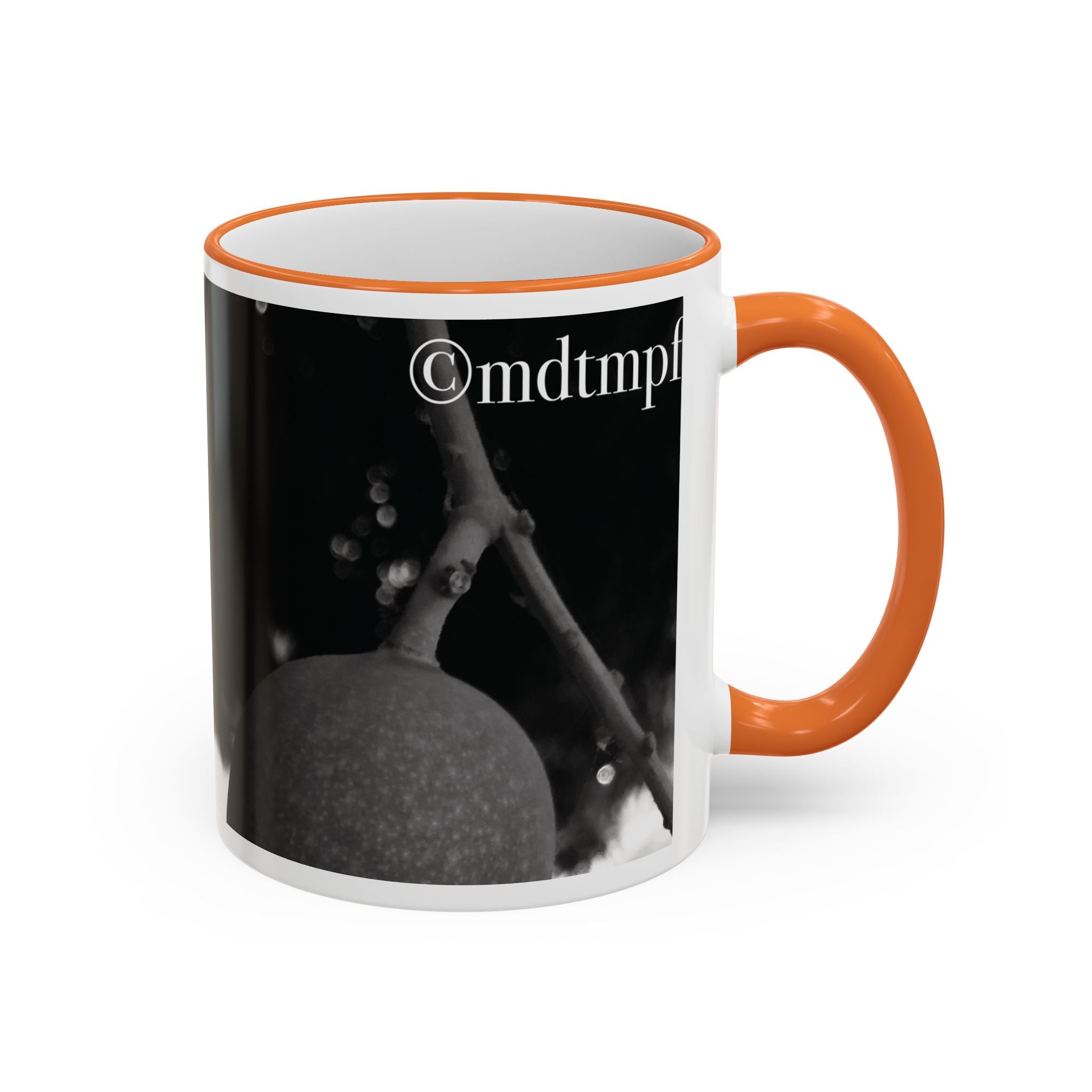 Monochrome Vintage Photo Accent Rim Mug (11oz, 15oz)
