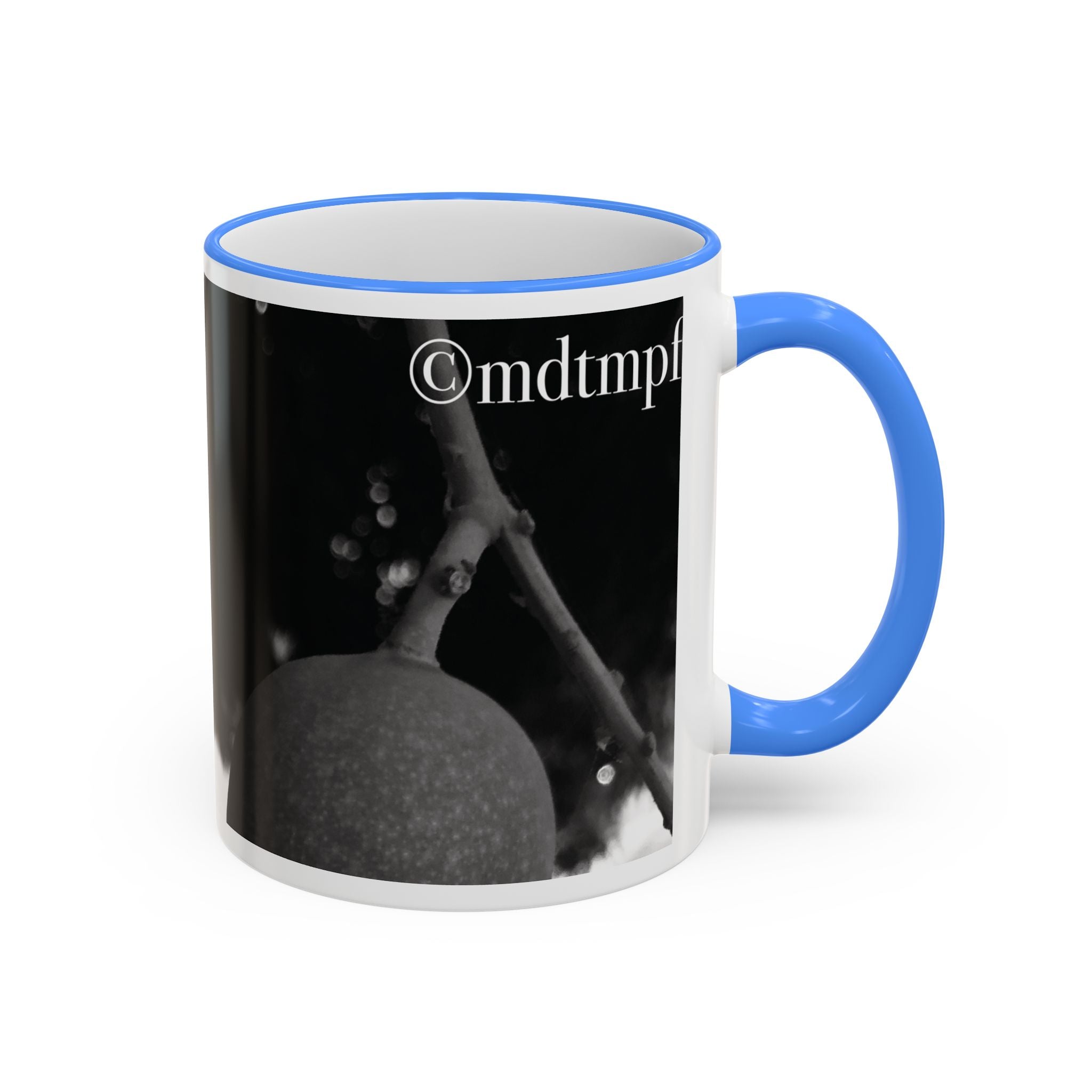 Monochrome Vintage Photo Accent Rim Mug (11oz, 15oz)