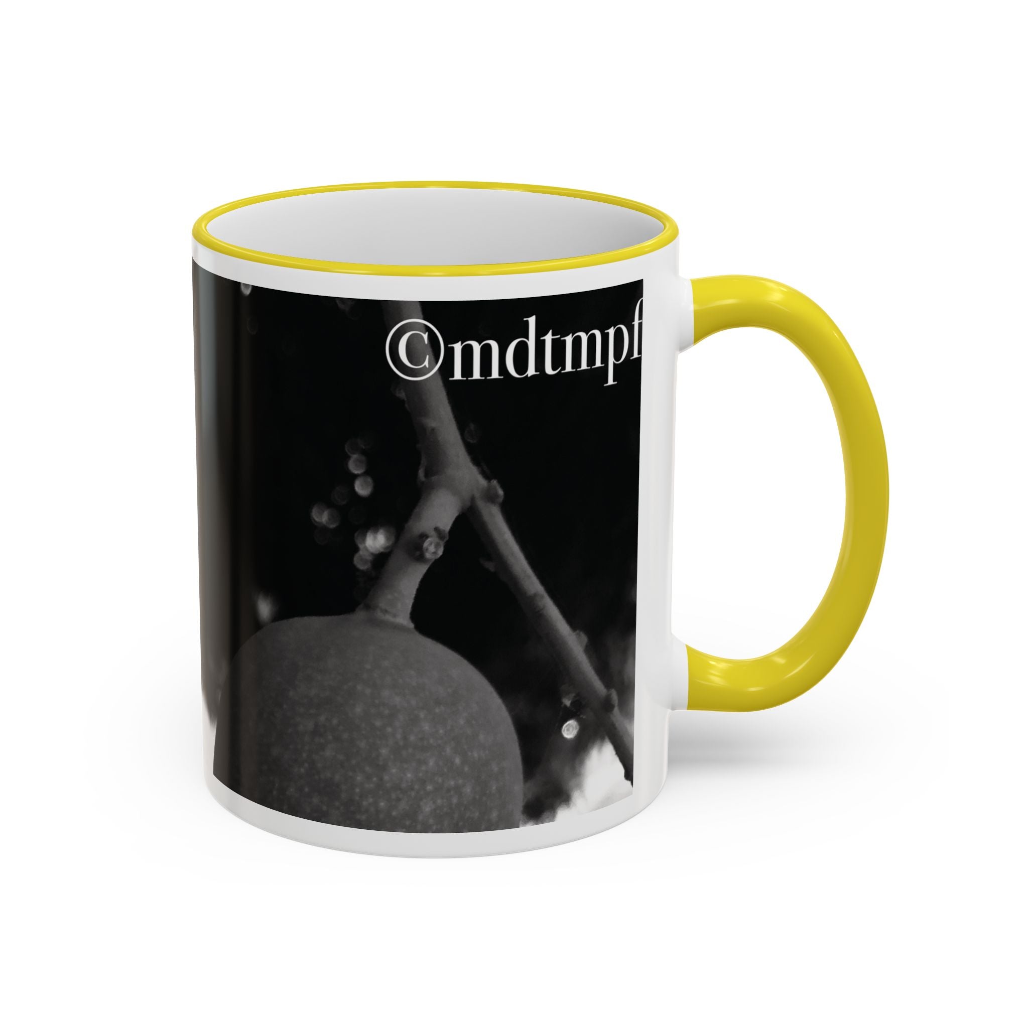 Monochrome Vintage Photo Accent Rim Mug (11oz, 15oz)