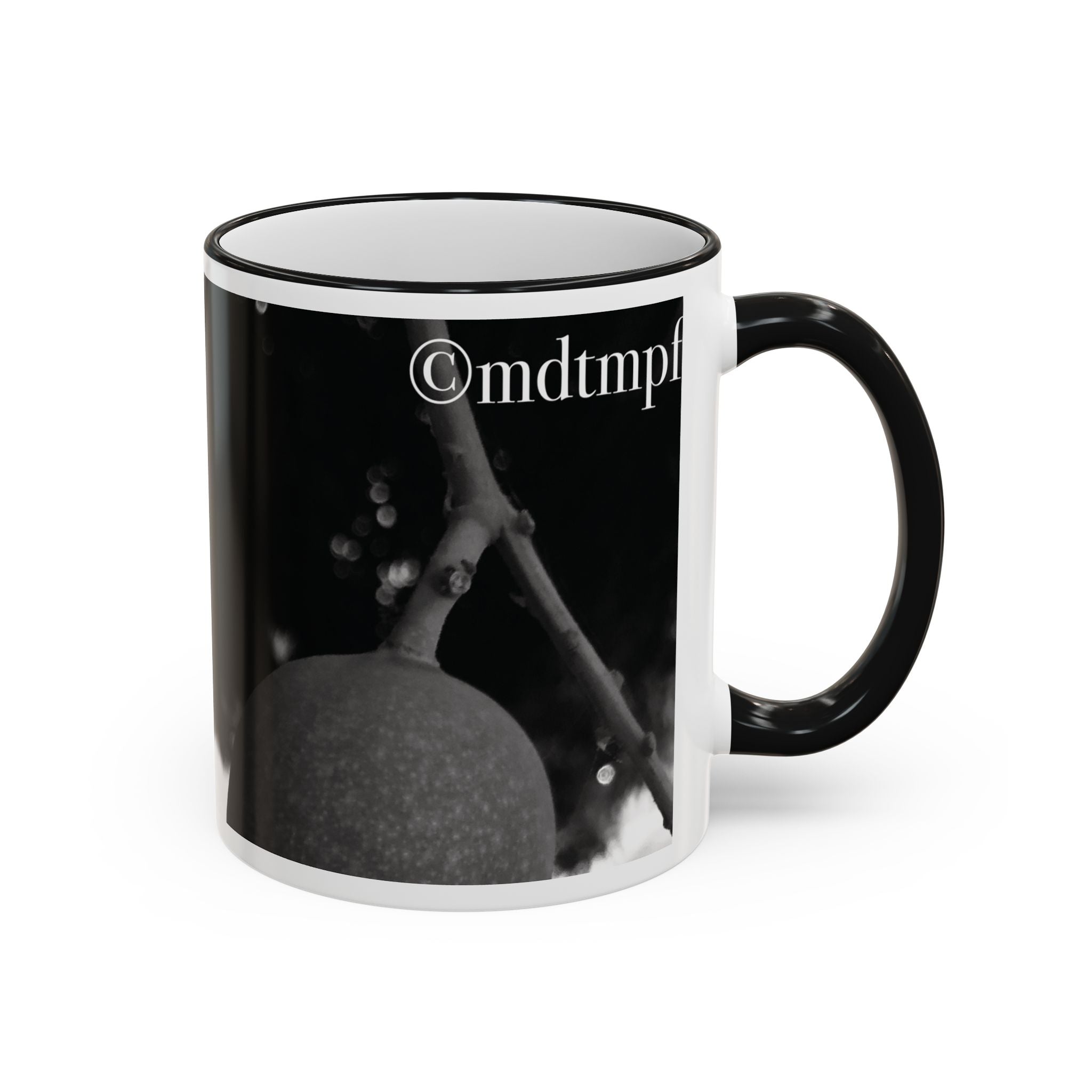 Monochrome Vintage Photo Accent Rim Mug (11oz, 15oz)