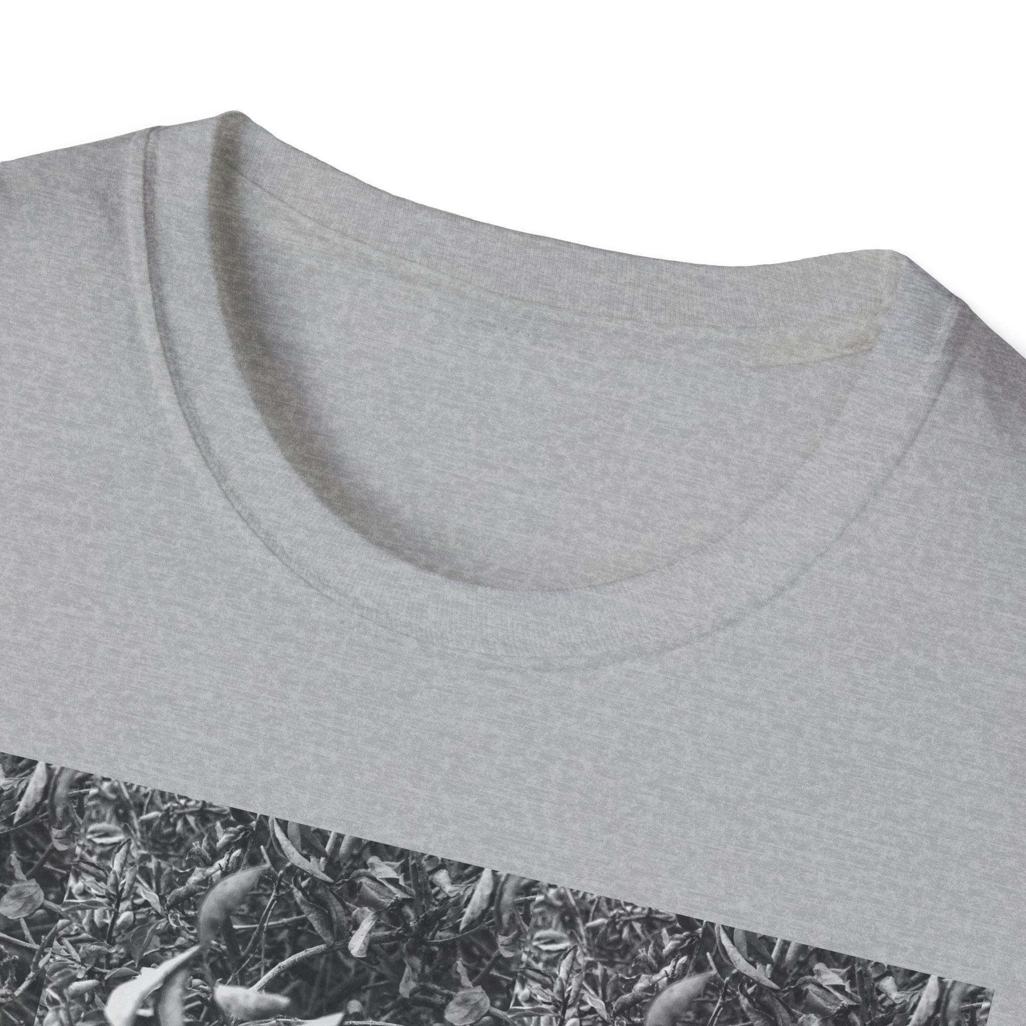 The Birds Neither Sow Nor Reap Tee